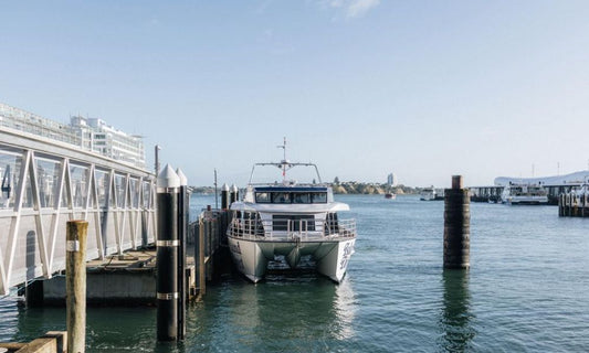 Scheduled impacts due to cruise ships