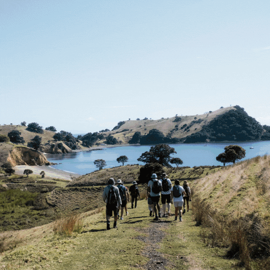 Family Adventures Await