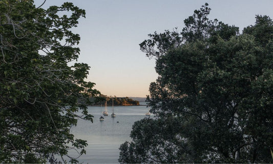 Final Weeks to Make the Most of Waiheke for Less