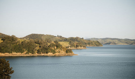 Discover Waiheke, One Step at a Time