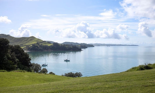 Step into Nature | Waiheke Walking Festival