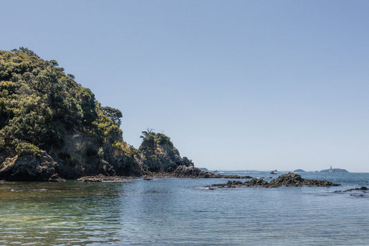 Let’s Get You to the Trails! Island Direct is Supporting the Waiheke Walking Festival