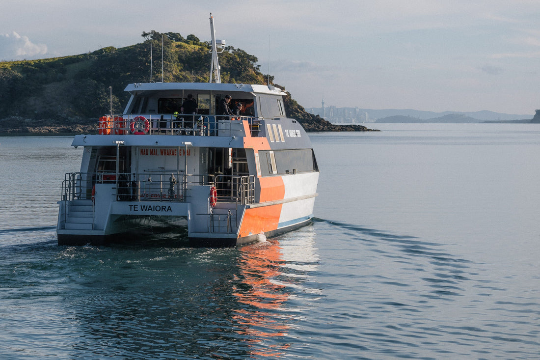 Scheduled Maintenance: A Little Birthday TLC for Te Waiora